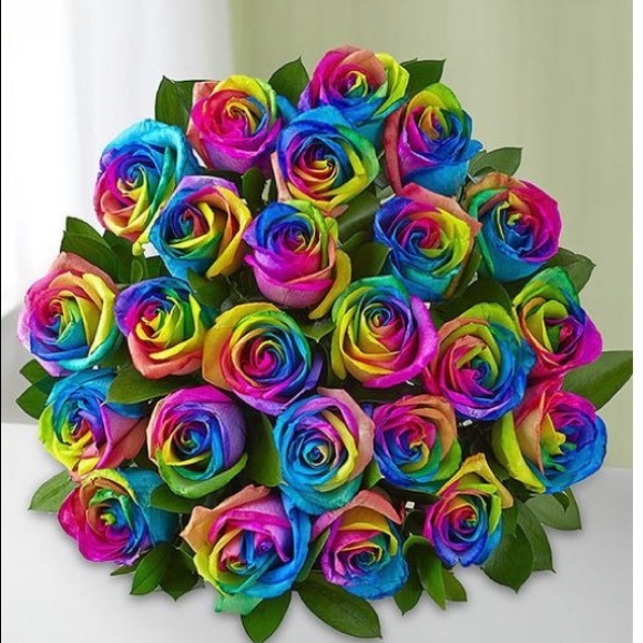 Meet your Posher, Abi - Picture 1 of 1